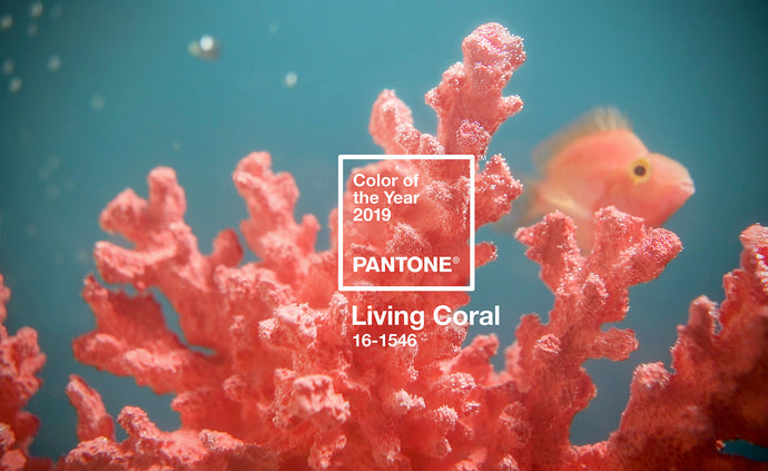 Pantone's Color of the Year for 2019: Living Coral